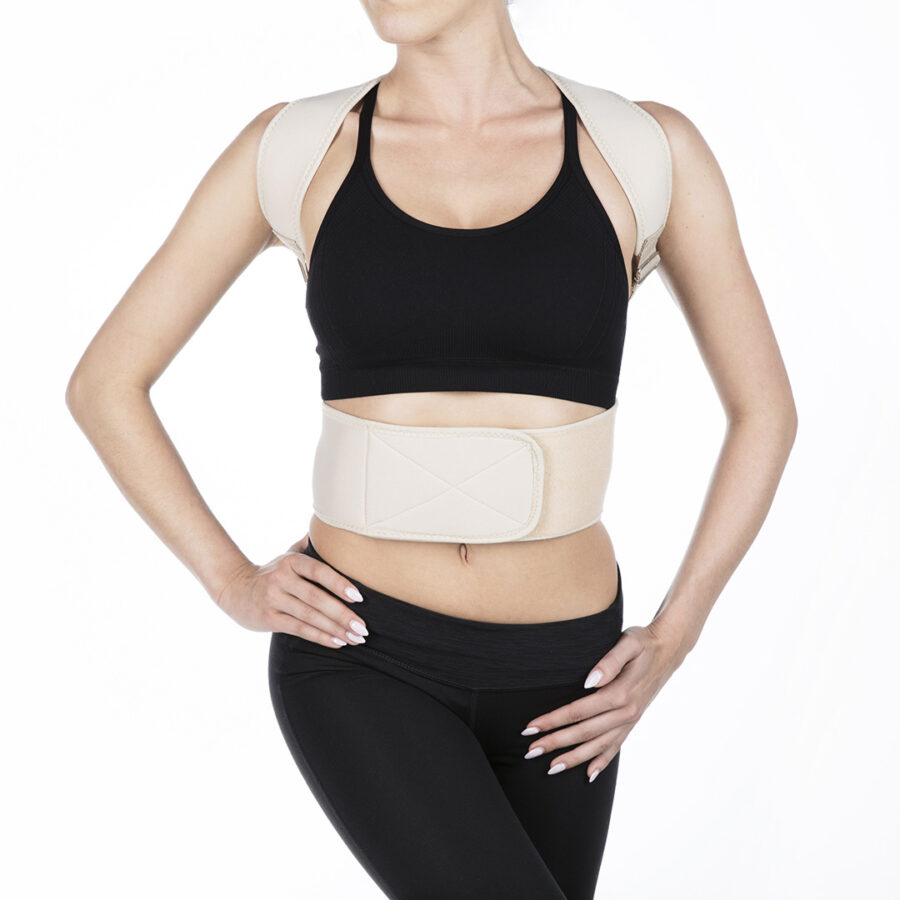 Cintura dorsale – Posture